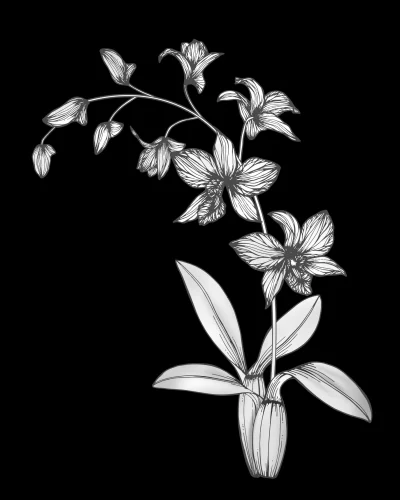 Цветок 048 (орхидея)