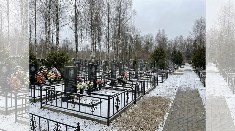 Гранитный памятник на родственном участке Кузьминского кладбища в Пушкине среди старых деревьев