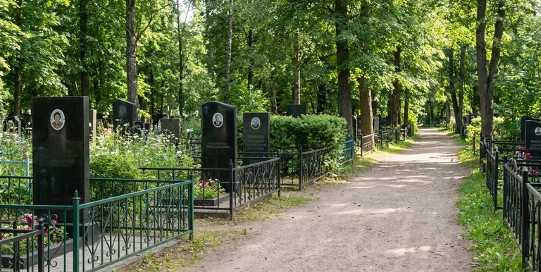 Аллея на Яблоновском кладбище